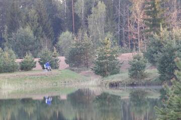 Фото номера Дом с 3 спальнями Дома для отпуска Viesu māja Forrest г. Dzimtmisa 51