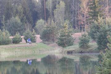Фото номера Дом с 3 спальнями Дома для отпуска Viesu māja Forrest г. Dzimtmisa 20